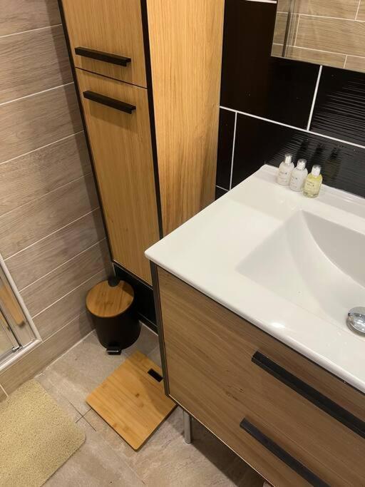 Appartement Style Chalet Standing 2 A 6 Personnes La Bourboule Dış mekan fotoğraf