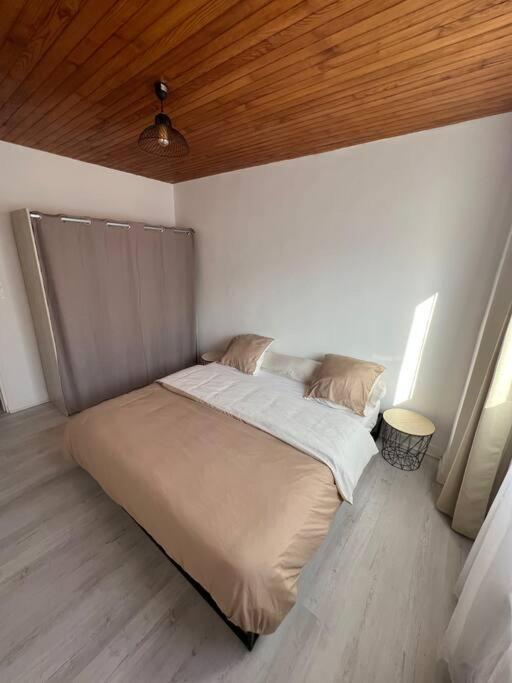 Appartement Style Chalet Standing 2 A 6 Personnes La Bourboule Dış mekan fotoğraf
